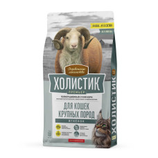 Холистик