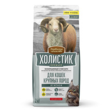 Холистик