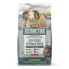 Холистик