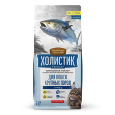 Холистик