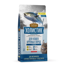 Холистик